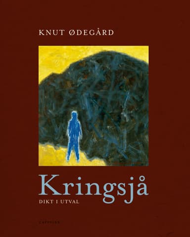 Kringsjå