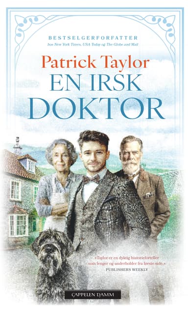 En irsk doktor
