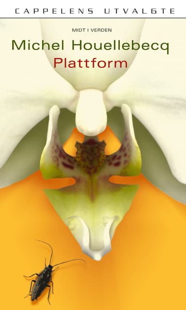 Plattform