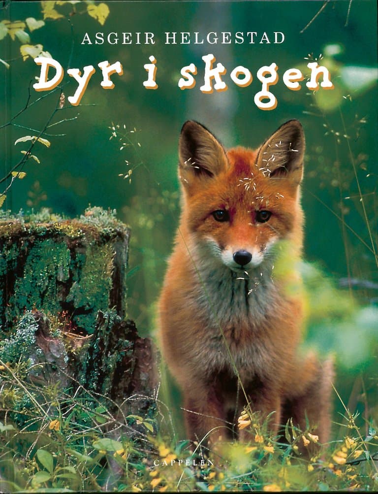 Omslag Dyr i skogen av Asgeir Helgestad (Innbundet)