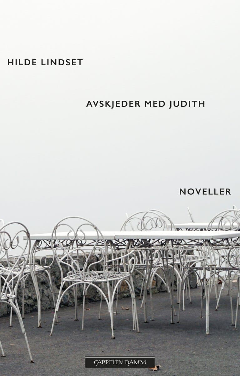 Omslag Avskjeder med Judith av Hilde Lindset (Ebok)