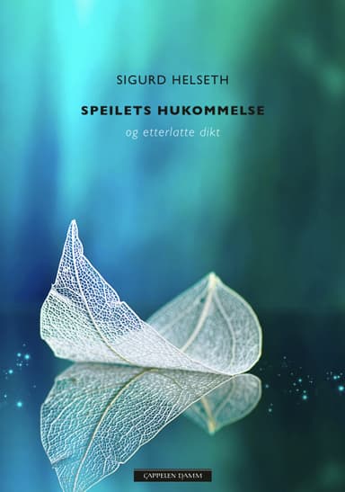 Speilets hukommelse