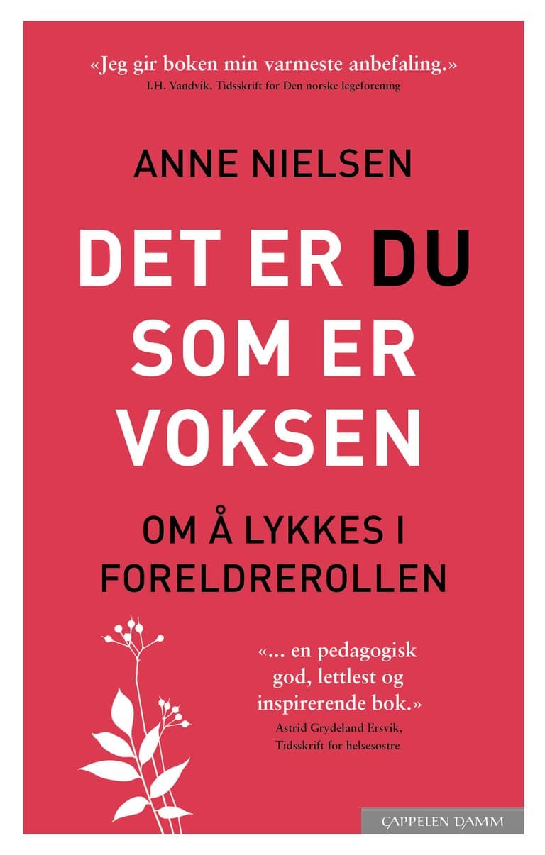 Omslag Det er du som er voksen av Anne Nielsen (Ebok)