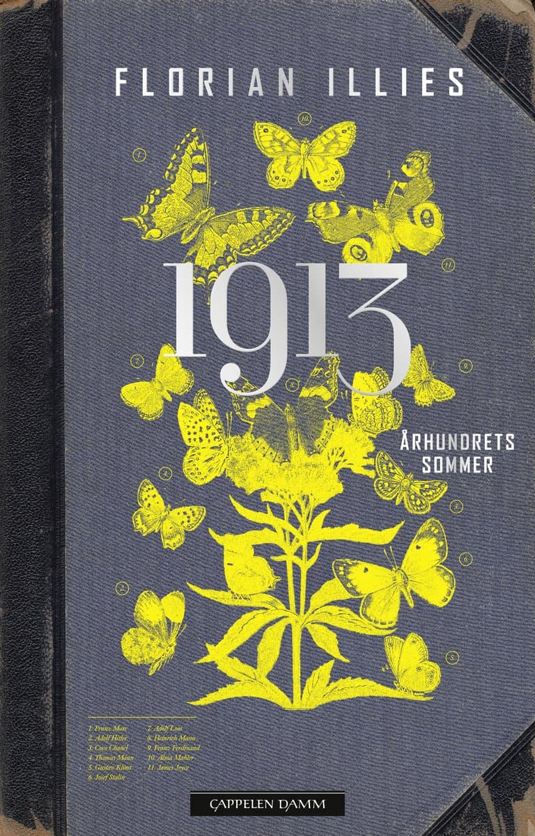 Omslag 1913 av Florian Illies (Ebok)