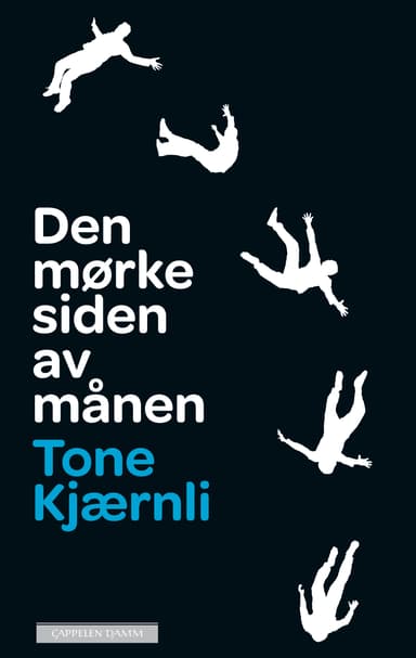 Den mørke siden av månen