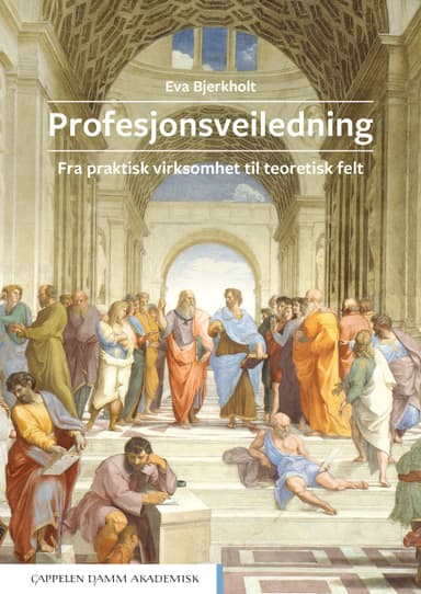Profesjonsveiledning