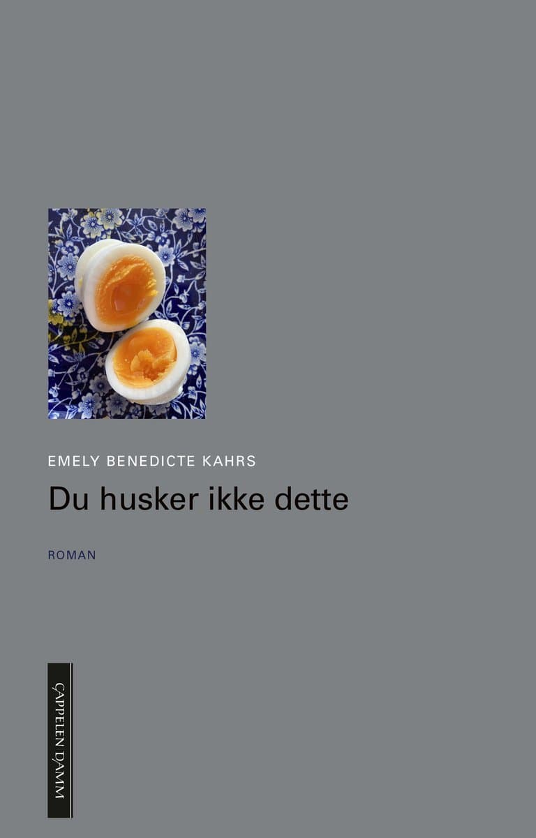 Omslag Du husker ikke dette av Emely Benedicte Kahrs (Innbundet)