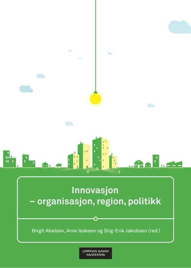 Innovasjon - organisasjon, region, politikk