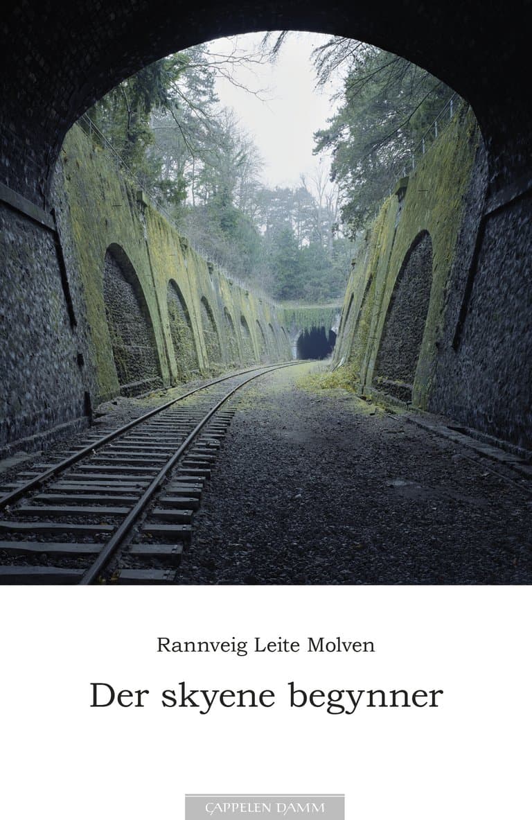Omslag Der skyene begynner av Rannveig Leite Molven (Heftet)