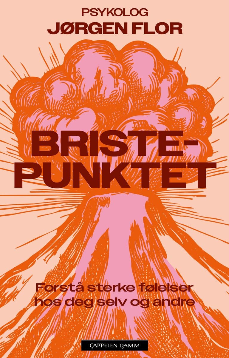 Omslag Bristepunktet av Jørgen Flor (Ebok)
