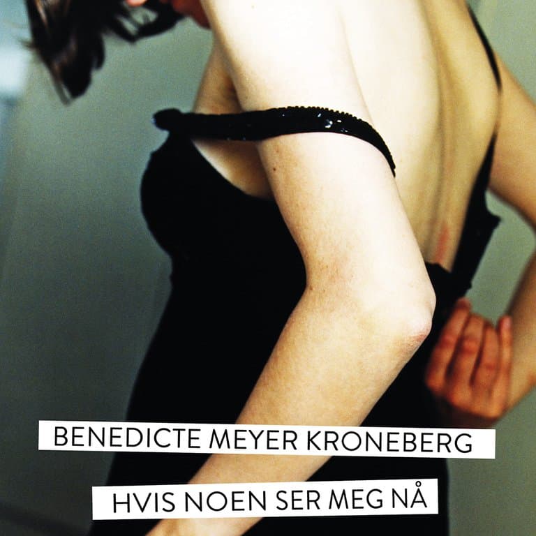 Omslag Hvis noen ser meg nå av Benedicte Meyer Kroneberg (Lydbok)