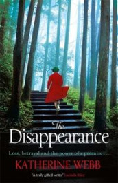 The disappearance av Katherine Webb (Heftet)
