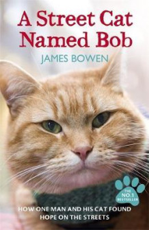A street cat named Bob av James Bowen (Heftet)