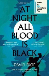 At night all blood is black av David Diop (Heftet)