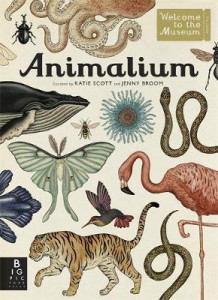 Animalium av Katie Scott og Jenny Broom (Innbundet)