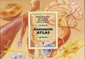 Anatomisk atlas av Jan G. Bjålie, Michael Budowick, Bent Rolstad og Kari C. Toverud (Heftet)