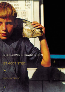 Et godt sted av Nils-Øivind Haagensen (Heftet)