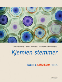 Kjemien stemmer Kjemi 1 Studiebok (2007) av Truls Grønneberg (Heftet)