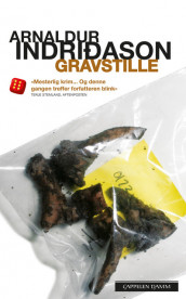 Gravstille av Arnaldur Indridason (Heftet)