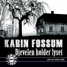 Djevelen holder lyset av Karin Fossum (Lydbok MP3-CD)