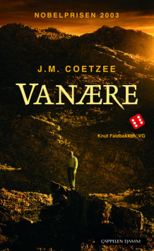 Vanære av J.M. Coetzee (Heftet)