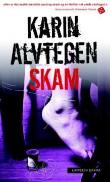 Skam av Karin Alvtegen (Heftet)