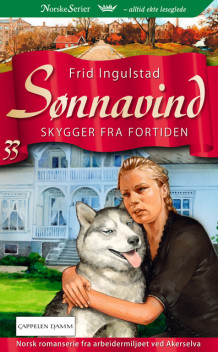 Skygger fra fortiden av Frid Ingulstad (Heftet)