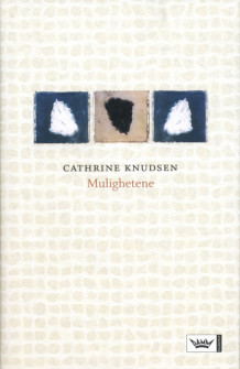 Mulighetene av Cathrine Knudsen (Ebok)