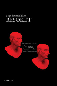 Besøket av Stig Sæterbakken (Ebok)