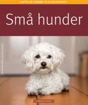 Små hunder av Susanne Müller-Rielinger (Heftet)