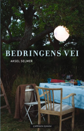 Bedringens vei av Aksel Selmer (Innbundet)