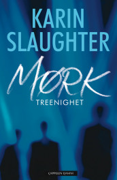 Mørk treenighet av Karin Slaughter (Ebok)