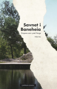 Savnet i Baneheia av Hilde Moi Østbø (Innbundet)
