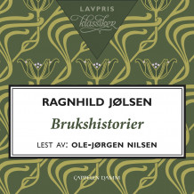 Brukshistorier av Ragnhild Jølsen (Nedlastbar lydbok)