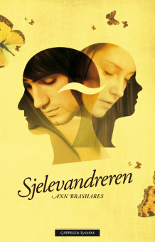 Sjelevandreren av Ann Brashares (Ebok)