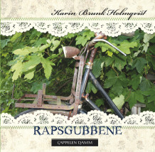 Rapsgubbene av Karin Brunk Holmqvist (Lydbok MP3-CD)