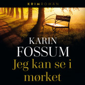 Jeg kan se i mørket av Karin Fossum (Nedlastbar lydbok)