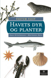 Havets dyr og planter av Aase Kristiansen og Marianne Køie (Innbundet)