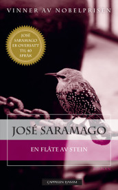 En flåte av stein av José Saramago (Heftet)