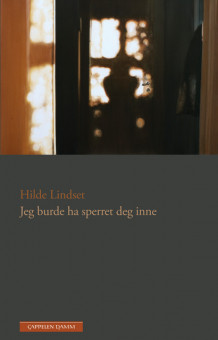 Jeg burde ha sperret deg inne av Hilde Lindset (Innbundet)