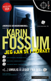 Jeg kan se i mørket av Karin Fossum (Heftet)