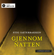 Gjennom natten av Stig Sæterbakken (Lydbok MP3-CD)