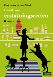 Oversikt over erstatningsretten av John Asland og Peter Lødrup (Heftet)