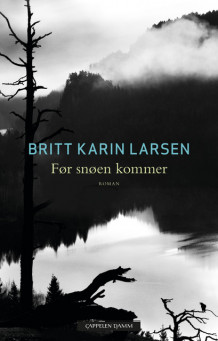 Før snøen kommer av Britt Karin Larsen (Ebok)