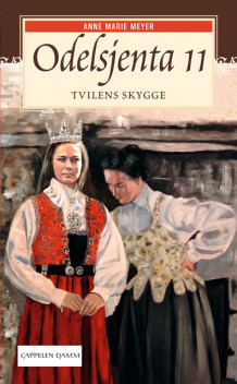 Tvilens skygge av Anne Marie Meyer (Ebok)