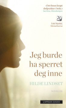 Jeg burde ha sperret deg inne av Hilde Lindset (Heftet)