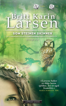 Som steinen skinner av Britt Karin Larsen (Heftet)