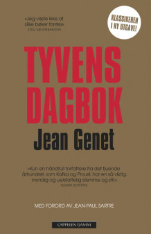 Tyvens dagbok (Heftet)