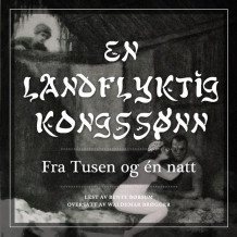 En landflyktig kongssønn av Flere (Nedlastbar lydbok)