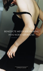 Hvis noen ser meg nå av Benedicte Meyer Kroneberg (Ebok)